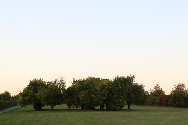 2016-10-06_18.26.28.jpg